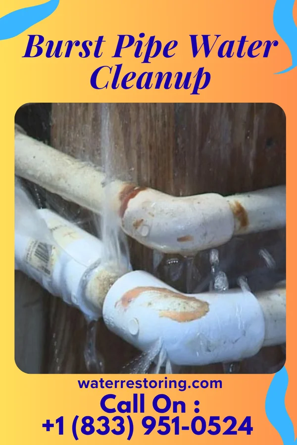 Burst Pipe Water Cleanup in Somersworth, NH